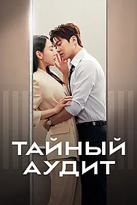 Тайный аудит