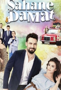 Постер к Замечательный зять